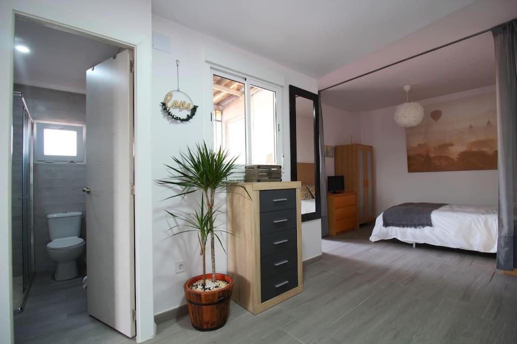 Suite Puerta Osario Con Terraza 塞维利亚 外观 照片